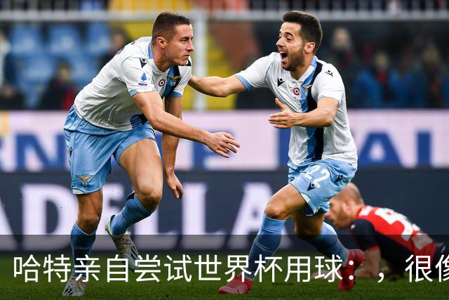 哈特亲自尝试世界杯用球：，很像2010年那款，但没那么难扑