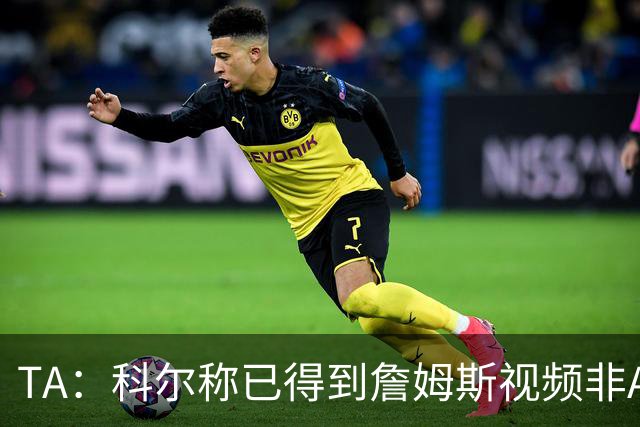 TA：科尔称已得到詹姆斯视频非AI合成 但他只是幽默回应球迷逗趣